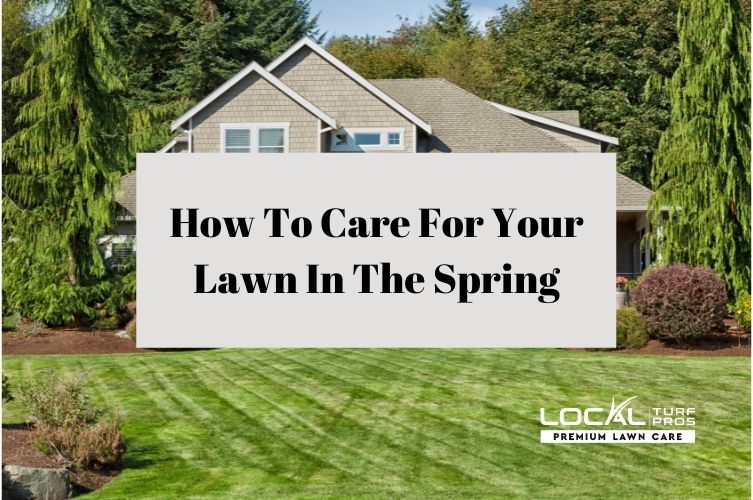 How To Care For Your Lawn In The Spring