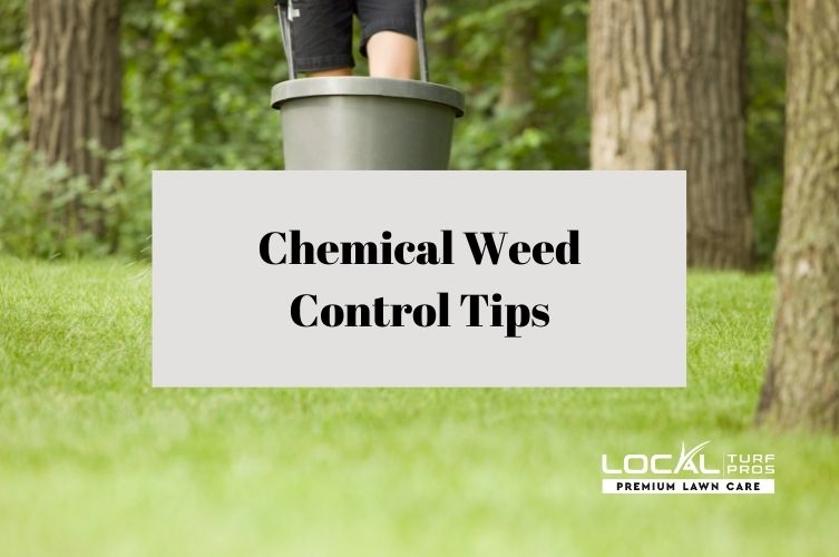 Chemical Weed Control Tips