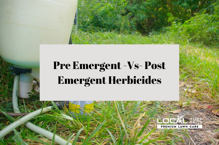 Pre Emergent Vs Post Emergent Herbicides