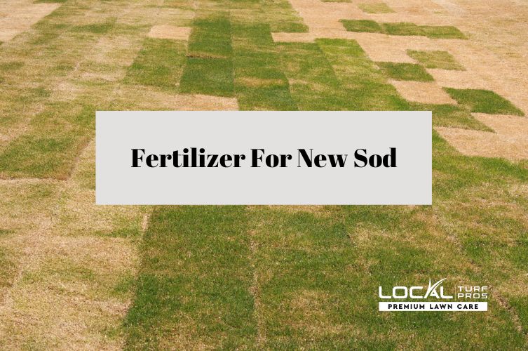 Fertilizer For New Sod