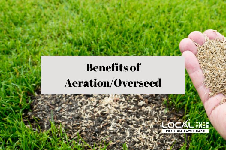 Benefits of Aeration and Seeding Your Lawn