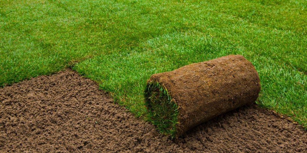 Common Mistakes to Avoid When Installing Sod: Tips for a Successful Lawn