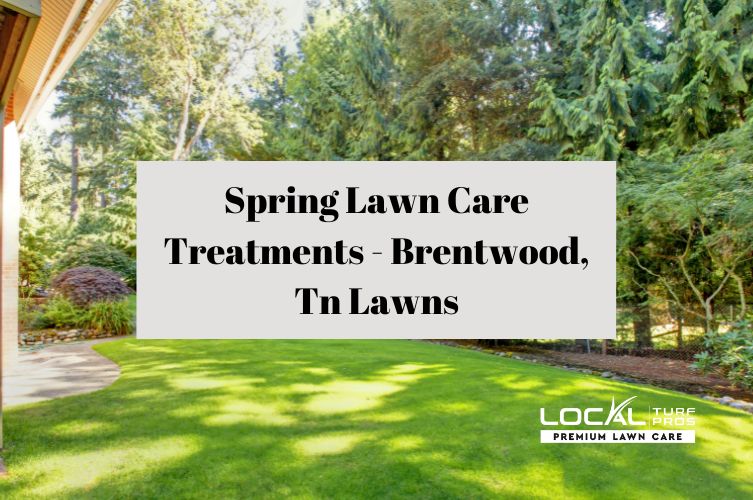 Spring Lawn Care Treatments - Brentwood, Tn Lawns