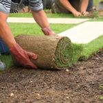 Sod Installation